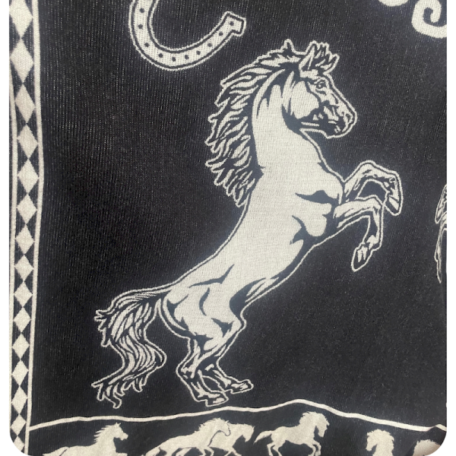 poncho cheval