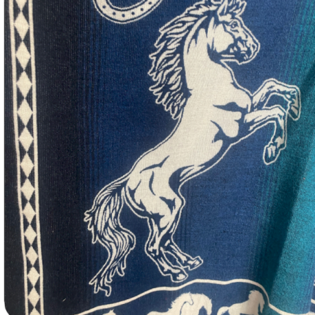 poncho cheval